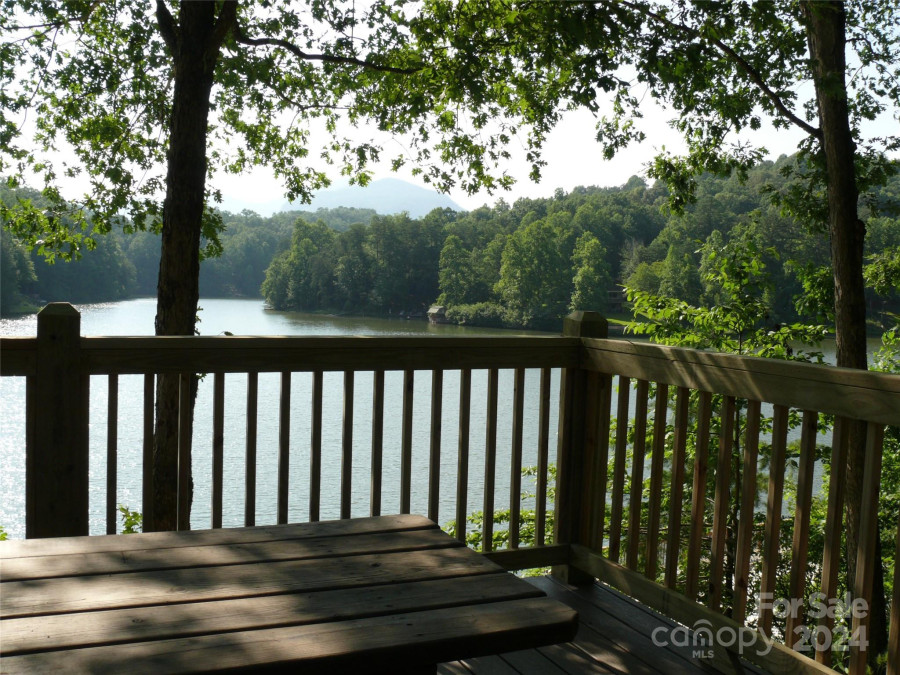 925 Roadrunner Cir Lake Lure, NC 28746