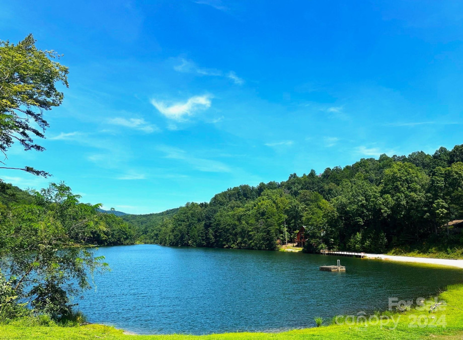 198 Wildcat Cir Lake Lure, NC 28746