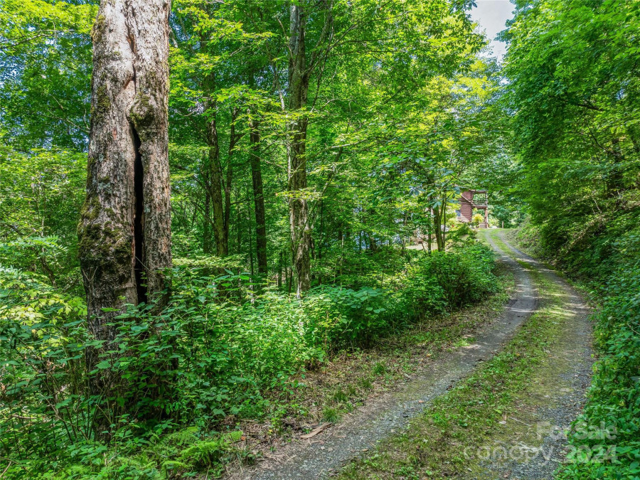 1863 Roaring Fork Rd Hot Springs, NC 28743