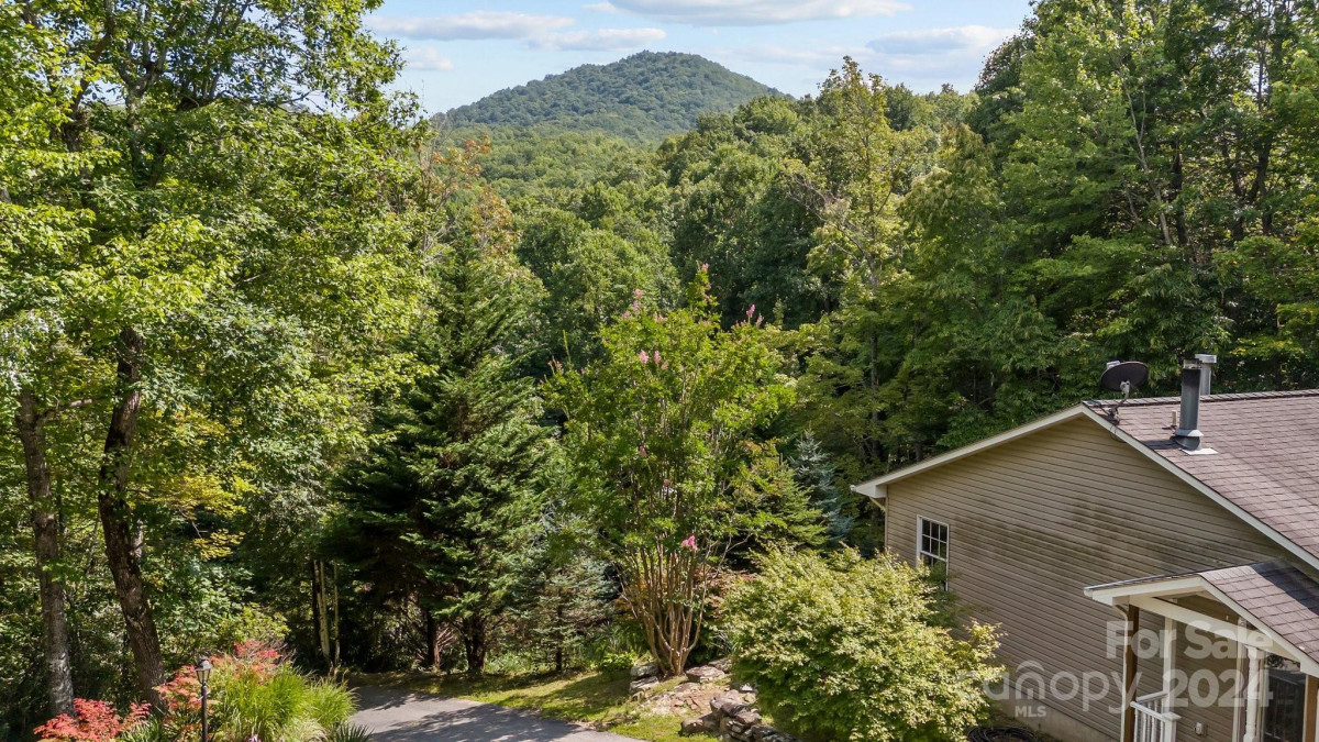 105 Chestnut Hill Rd Black Mountain, NC 28711