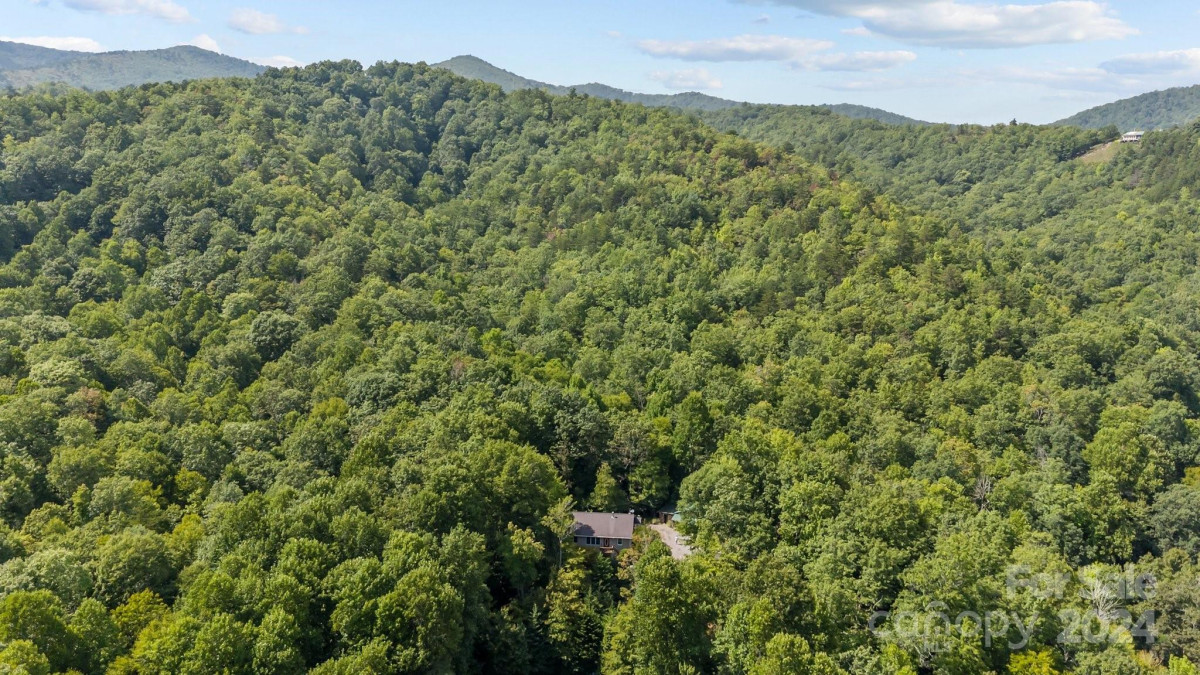 105 Chestnut Hill Rd Black Mountain, NC 28711