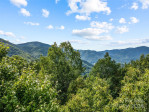 123 Chickadee Ln Maggie Valley, NC 28751