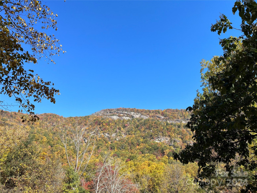 168 Fall Creek Dr Chimney Rock, NC 28720