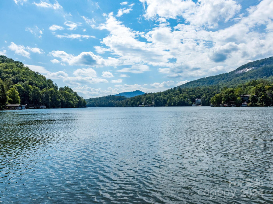 160 Whitney Blvd Lake Lure, NC 28746