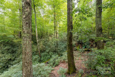 520 Oakwilde Dr Hendersonville, NC 28791