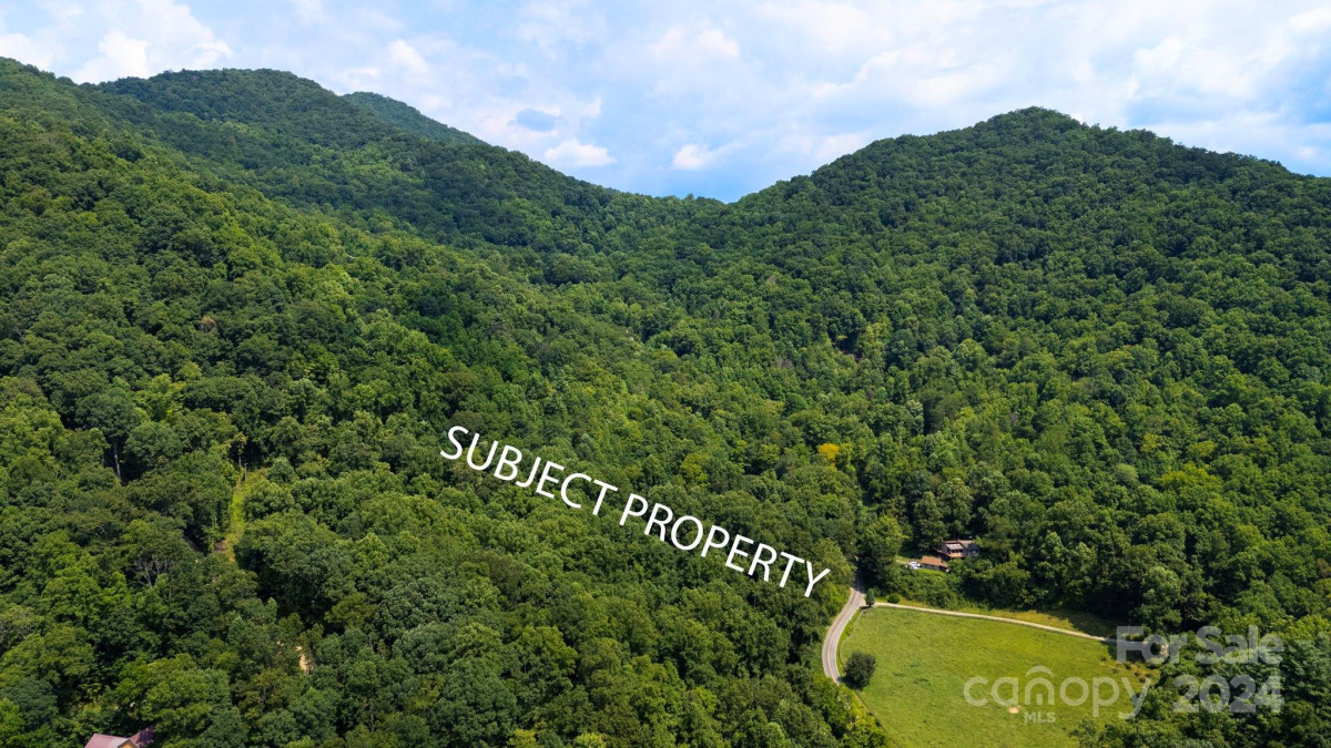 242 Moody Cove Rd Weaverville, NC 28787