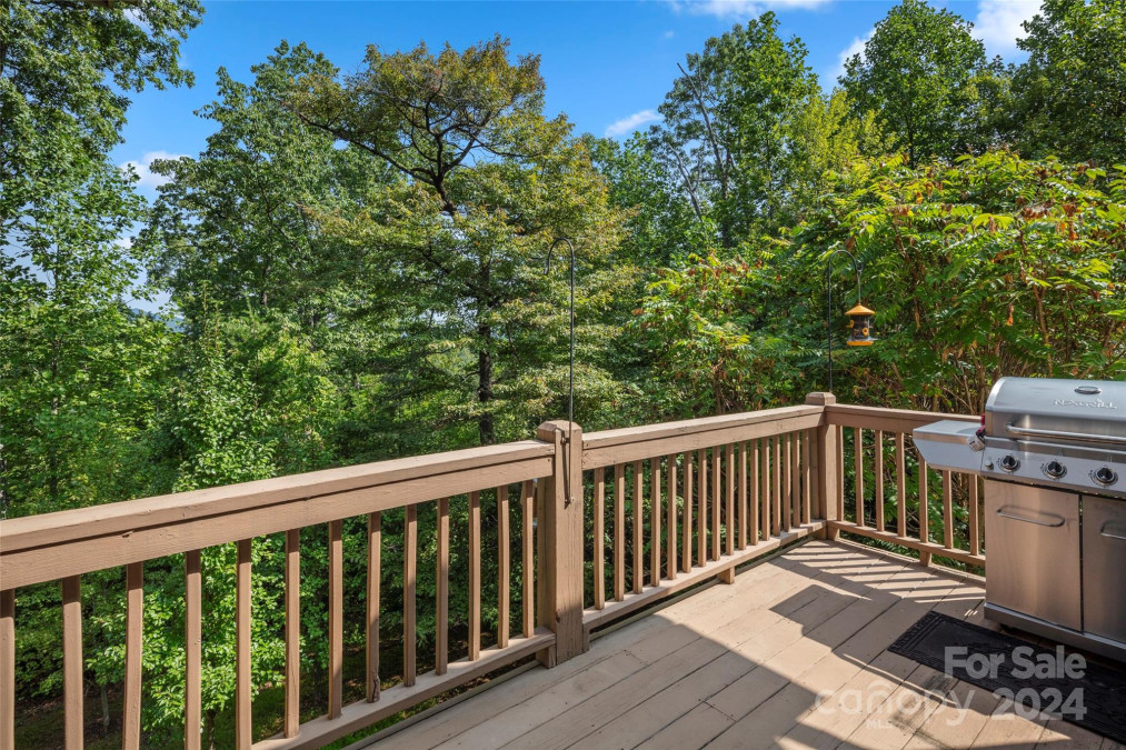 190 Tanglewood Trl Lake Lure, NC 28746