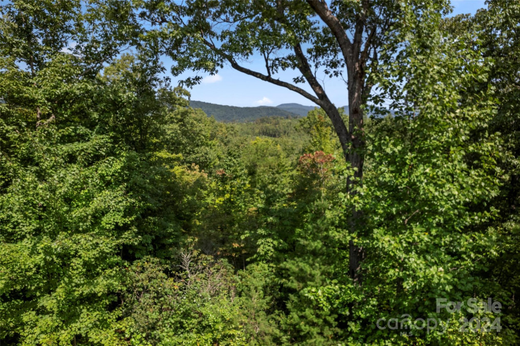 190 Tanglewood Trl Lake Lure, NC 28746