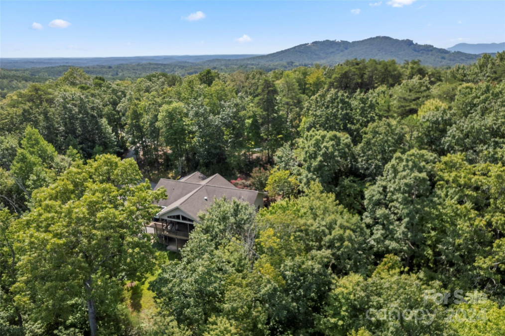 190 Tanglewood Trl Lake Lure, NC 28746