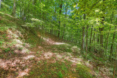 1198 Roaring Fork Rd Burnsville, NC 28714