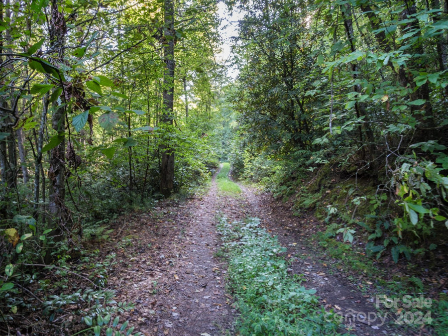 300 Naomi Dr Pisgah Forest, NC 28768