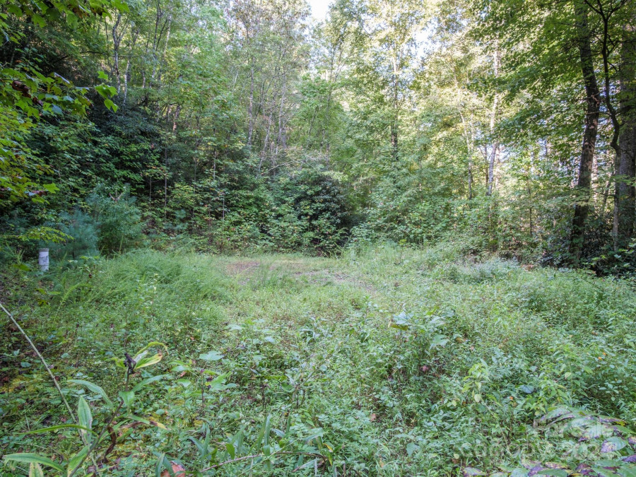 300 Naomi Dr Pisgah Forest, NC 28768