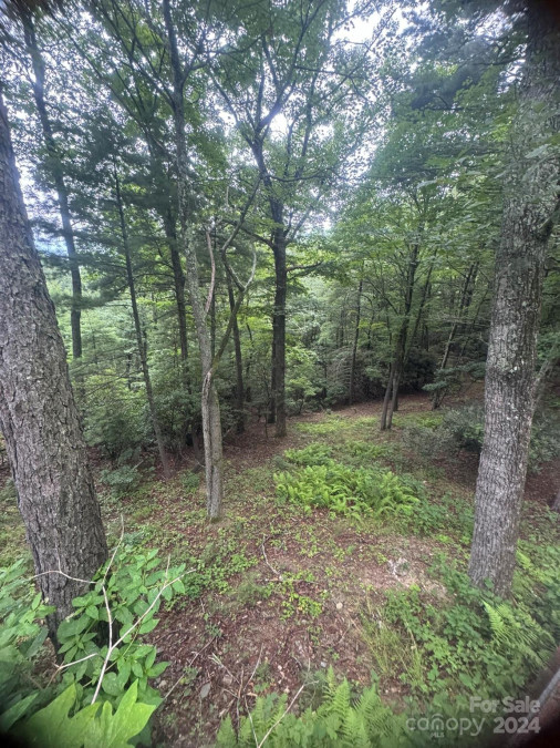 6435 Sheets Gap Rd Millers Creek, NC 28651