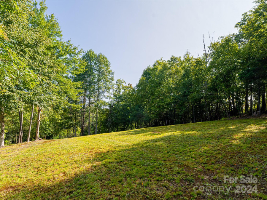 309 Auburn Sky Trl Mills River, NC 28759