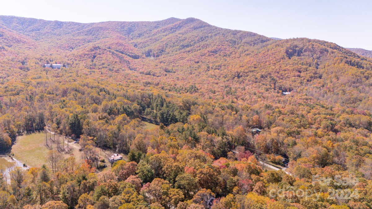 59 Laurel Ln Black Mountain, NC 28711