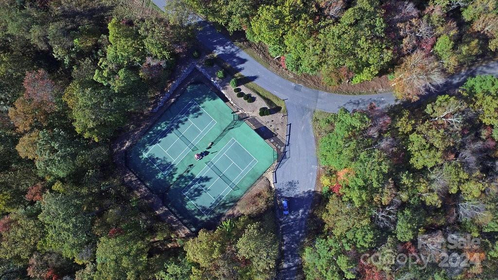 98 Mill Pond Dr Tuckasegee, NC 28783