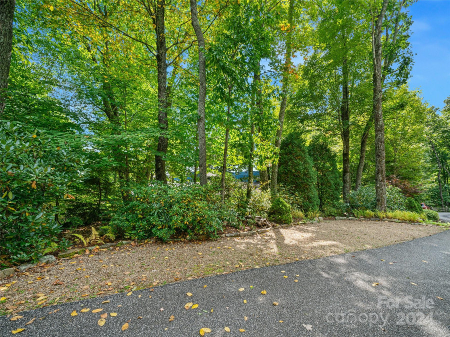 393 Deer Trail Dr Burnsville, NC 28714