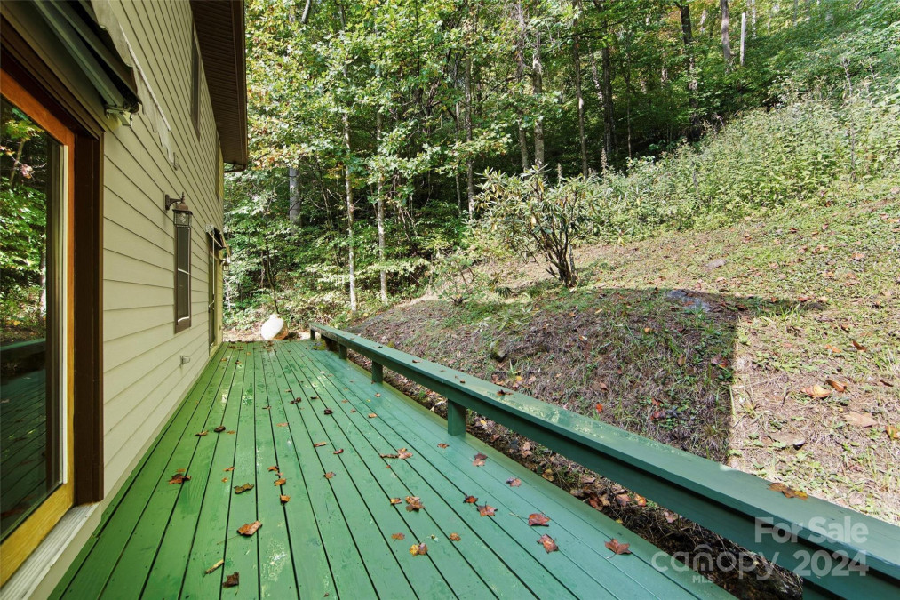 150 Sorghum Dr Waynesville, NC 28785