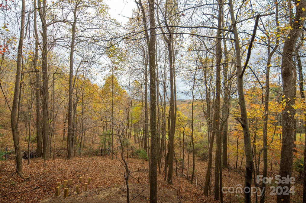 310 Greene Vista Ln Deep Gap, NC 28618