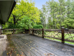 270 Mills River Way Horse Shoe, NC 28742