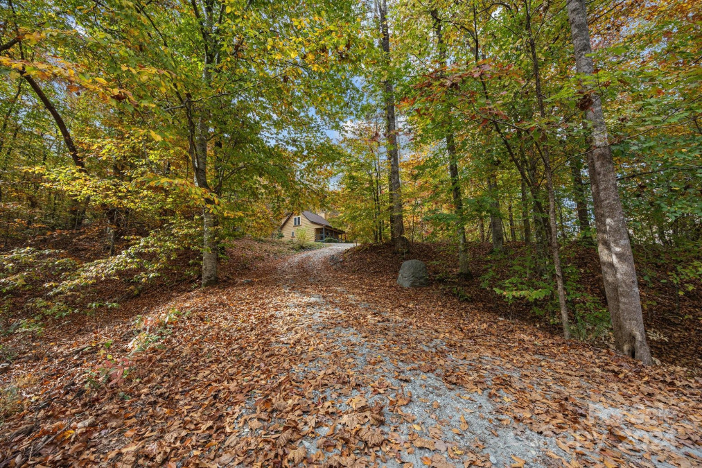 1493 Cleghorn Mill Rd Rutherfordton, NC 28139