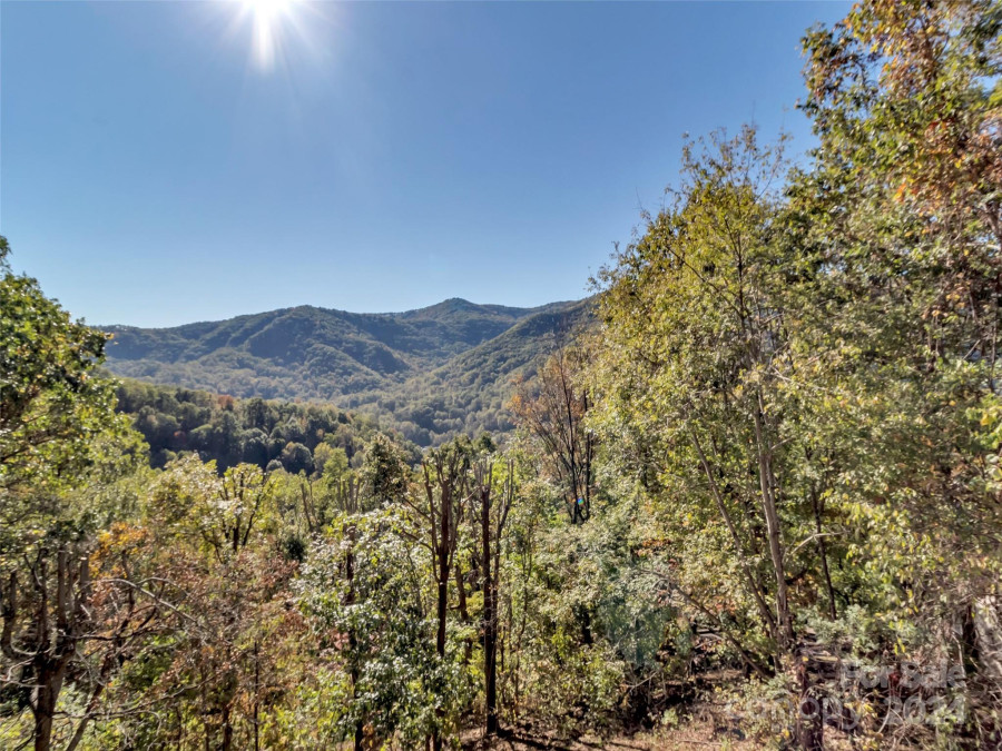 375 Grandview Cliff Hts Maggie Valley, NC 28751