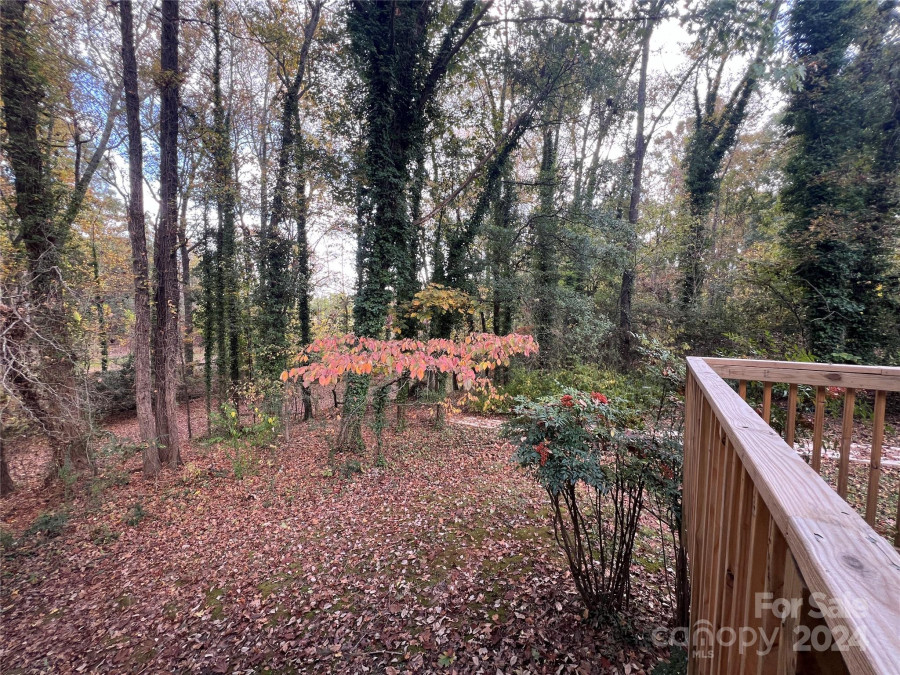 7226 Ashbourne Ln Mint Hill, NC 28227