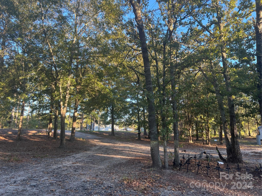 1814 Landfill Rd Mt Croghan, SC 29727