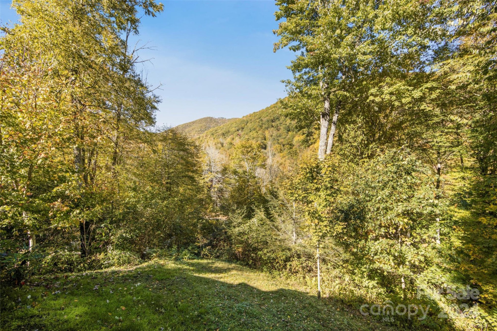 171 Irene Ln Maggie Valley, NC 28751