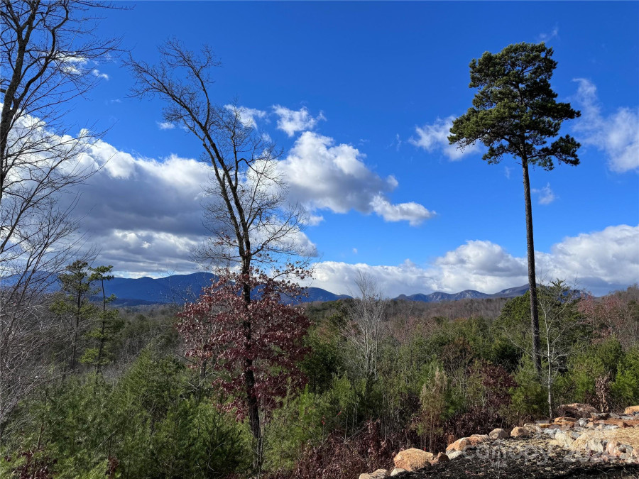 Lot 1 Willow Top Ln Lake Lure, NC 28746