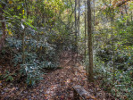 221 Gladiola Dr Pisgah Forest, NC 28768