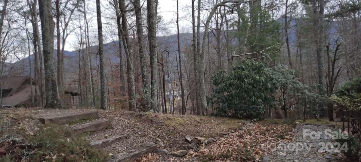 448 Cragmont Rd Black Mountain, NC 28711