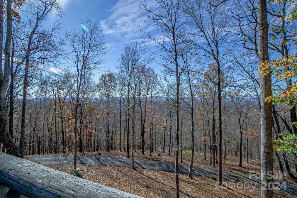 126 Bradley Ascent Ct Hendersonville, NC 28792