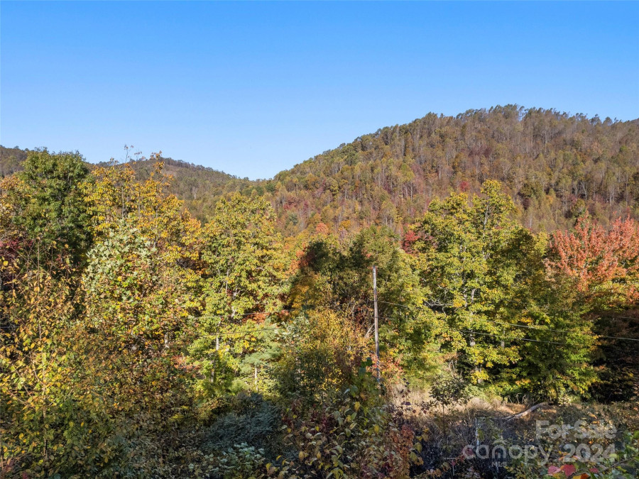 340 Kathy Lake Dr Hendersonville, NC 28792