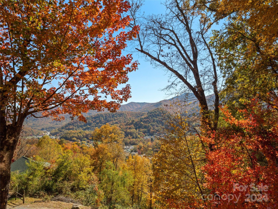 10 Cougar Ln Maggie Valley, NC 28751