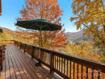 10 Cougar Ln Maggie Valley, NC 28751