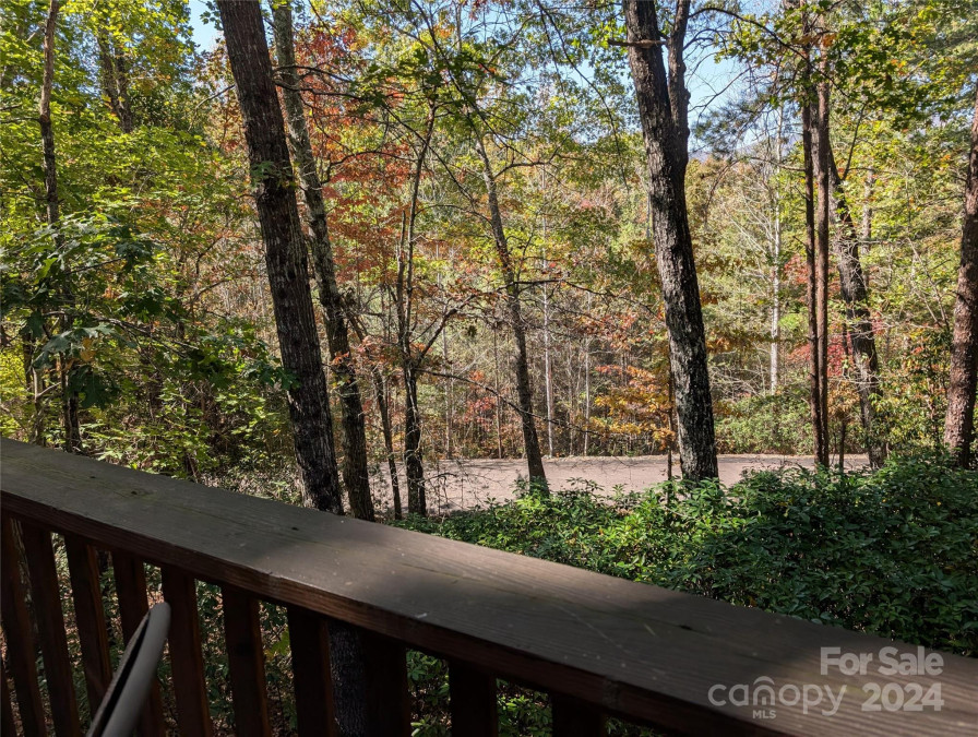 194 Long Ridge Dr Lake Lure, NC 28746