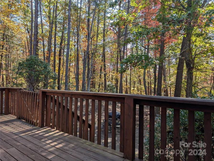 194 Long Ridge Dr Lake Lure, NC 28746