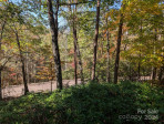 194 Long Ridge Dr Lake Lure, NC 28746