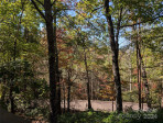 194 Long Ridge Dr Lake Lure, NC 28746