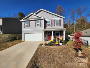 226 Roper St Candler, NC 28715