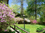 41 Deep Woods Rd Mills River, NC 28759