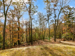 148 Stone Ridge Trl Mills River, NC 28759