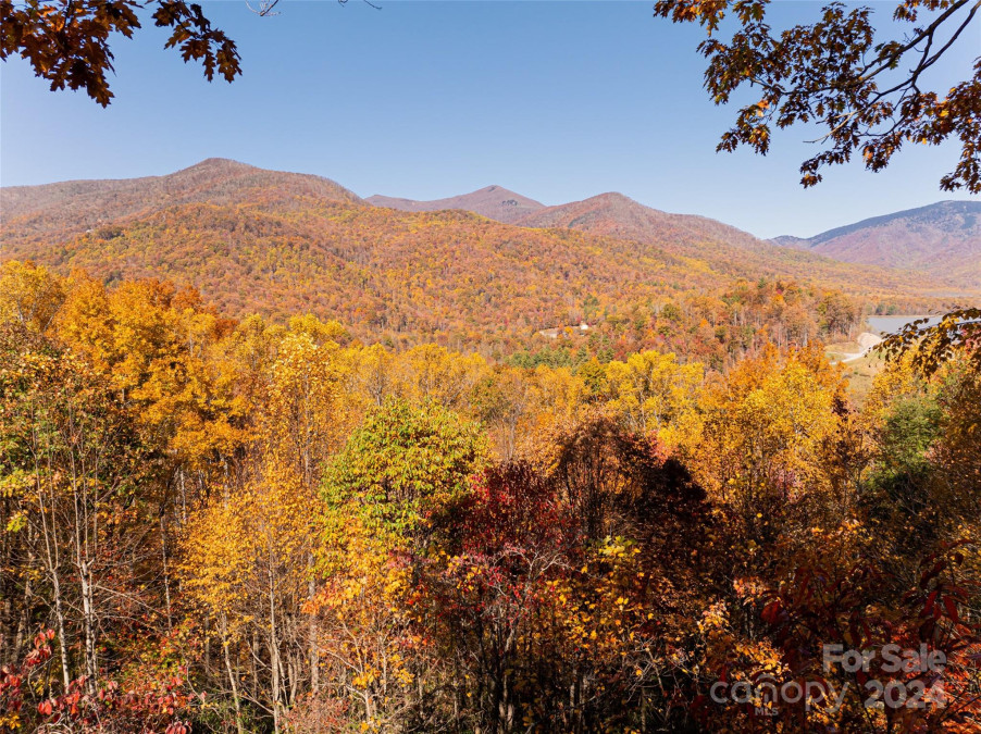 84 Penland Cove Rd Black Mountain, NC 28711