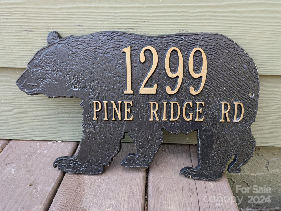 1299 Pine Ridge Rd Burnsville, NC 28714