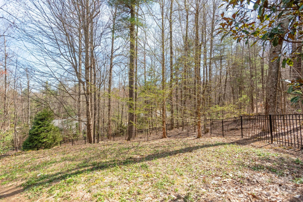 150 Poplar Loop Dr Flat Rock, NC 28731