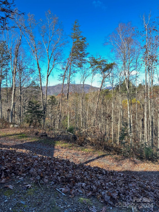 383 Blue Mist Mountain Rd Whittier, NC 28789