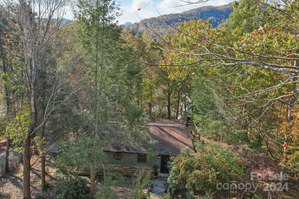 1805 Buffalo Shoals Rd Lake Lure, NC 28746