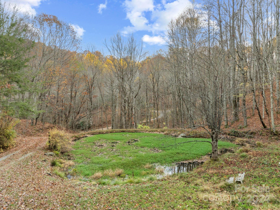 61 Doe Loop Hot Springs, NC 28743