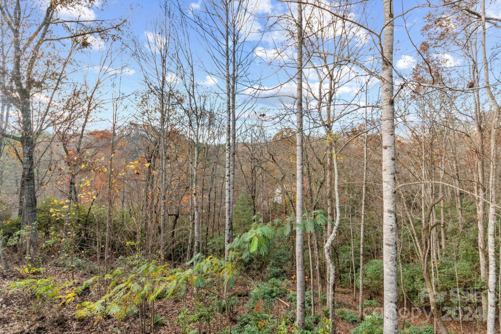 6 Laurel Forest Dr Horse Shoe, NC 28742